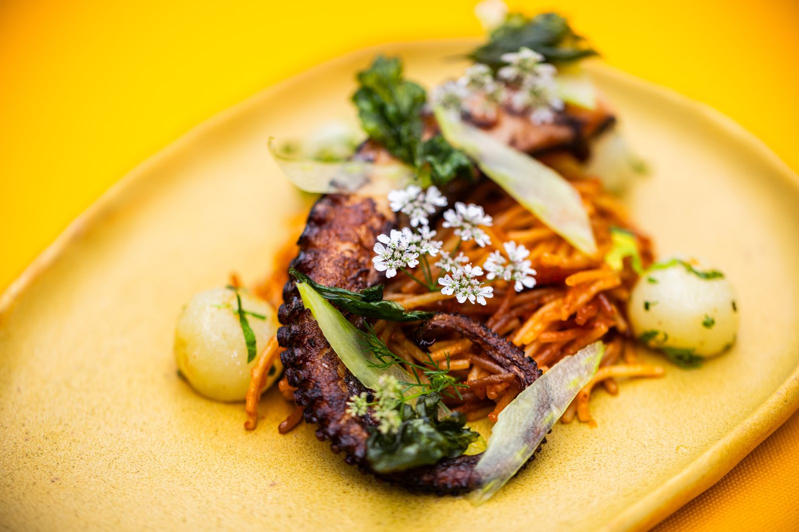 Plated grilled octopus with shaved carrot and small flowers on a yellow plate
