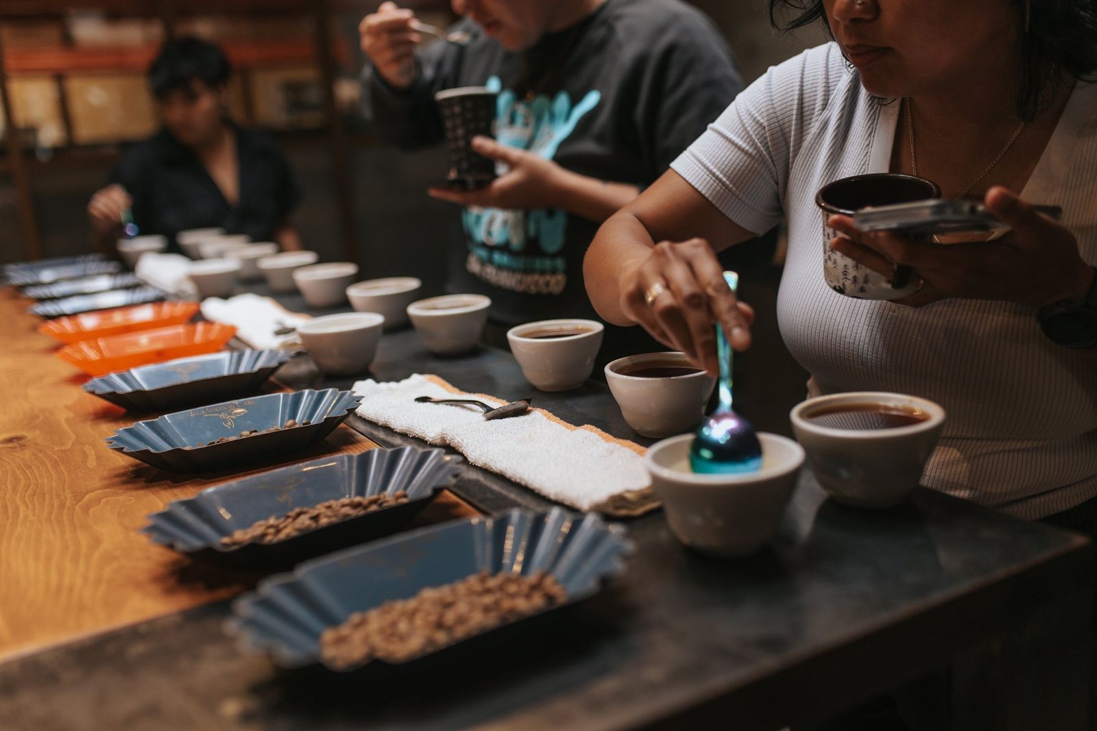A cupping table with rows of small bowls and cups as people taste coffee.