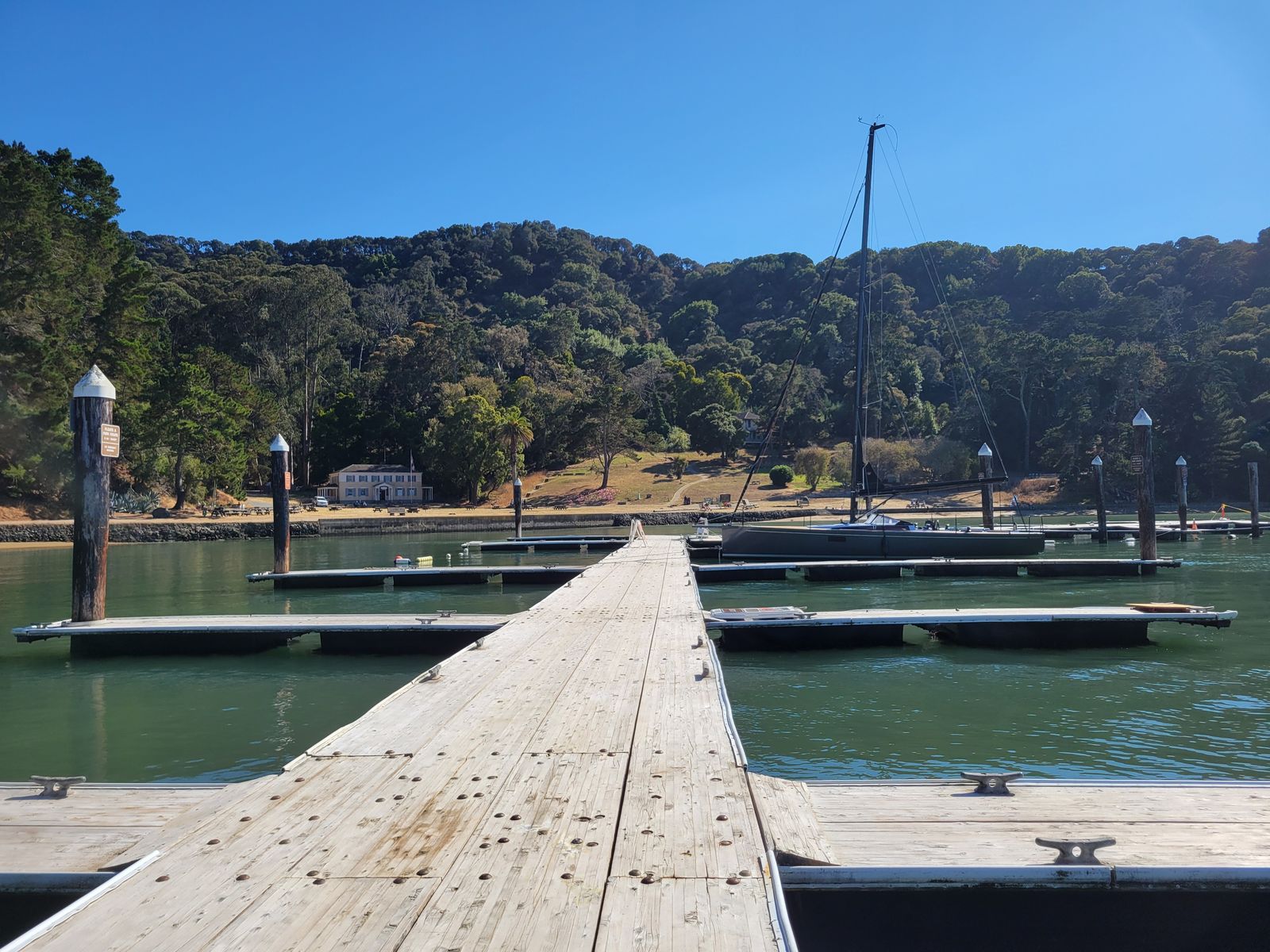 A wooden dock with boat slips in a calm harbor below tree-covered hills