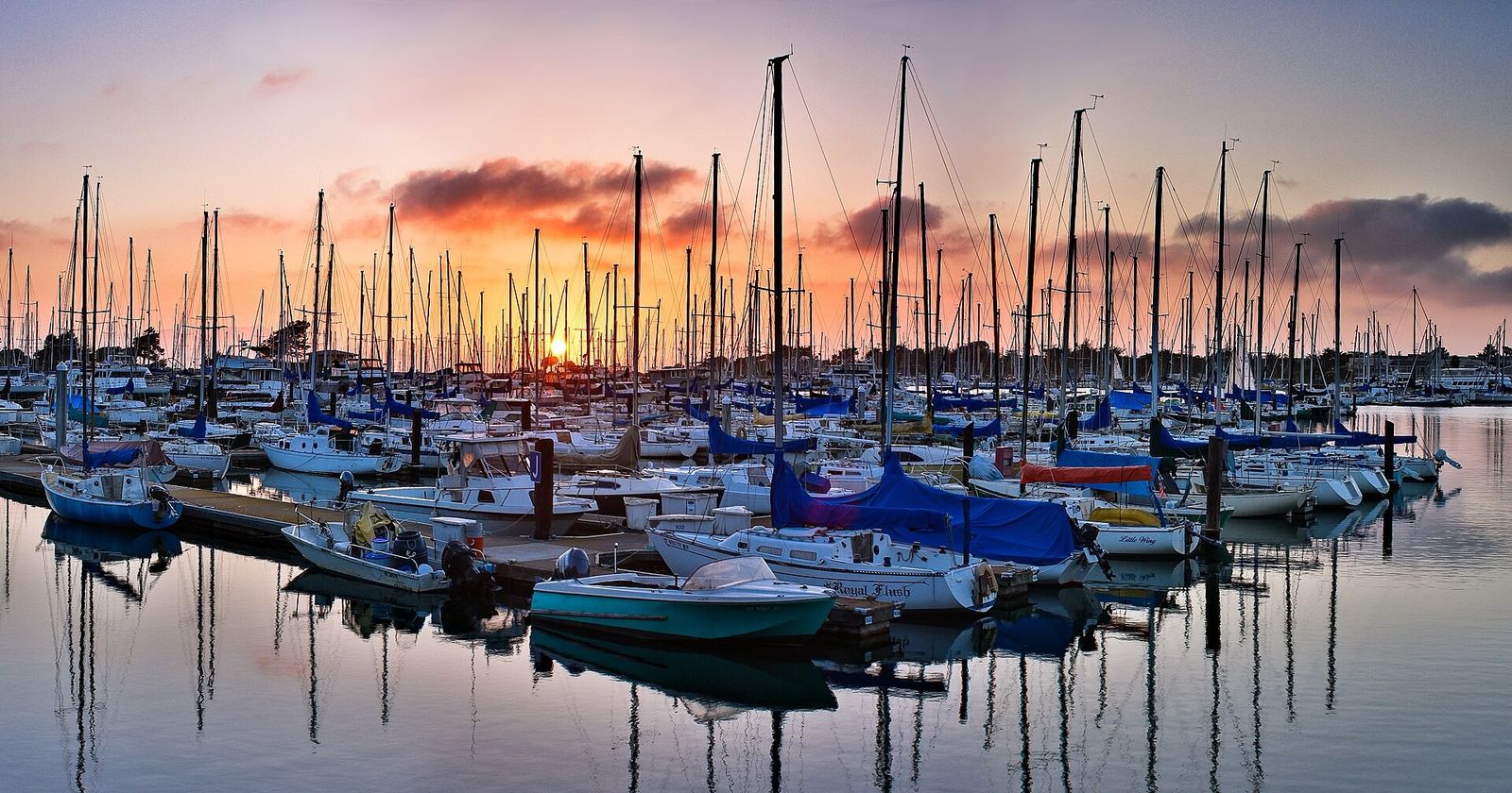 Rows of sailboat masts and moored boats at a marina under a pink and orange sunset sky.