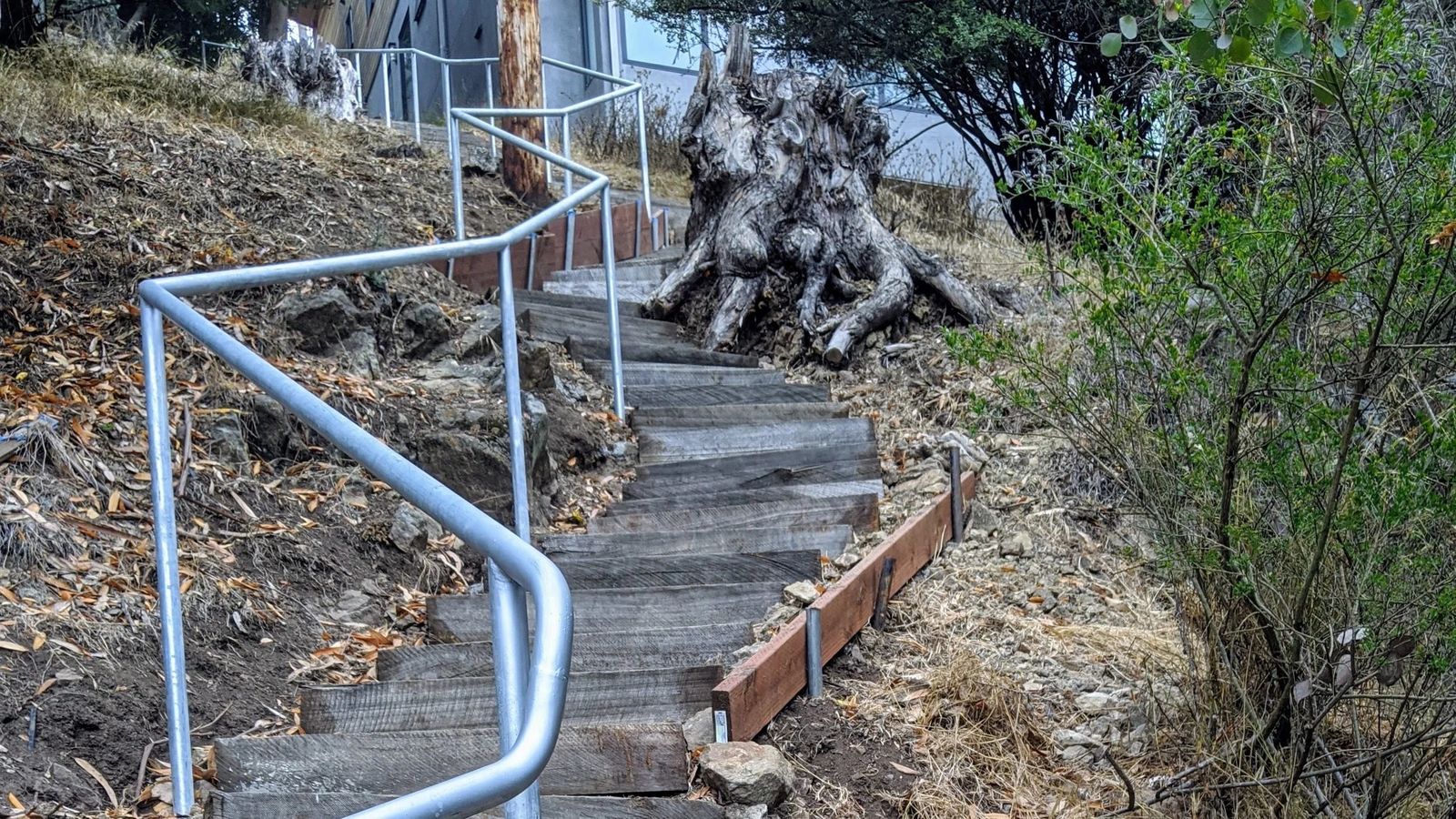 A wooden stairway with a metal handrail climbing a hillside beside bare tree trunks and shrubs.
