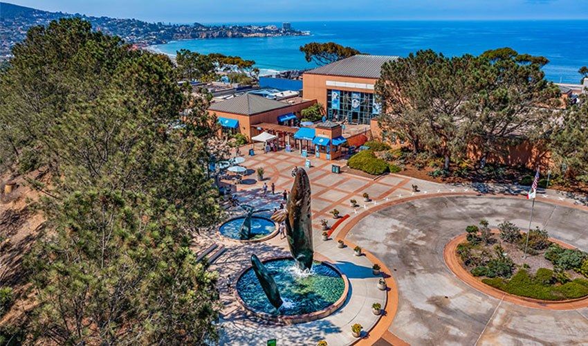 An aerial view of the aquarium complex on a bluff with a fountain plaza and the ocean beyond.