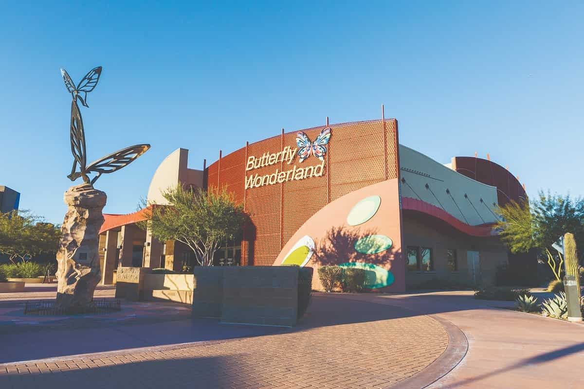 Museum building with a large butterfly sculpture out front under a blue sky