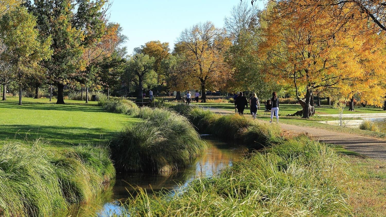 A grassy bank beside a stream with tall grasses and autumn trees, with a few people walking on the path.