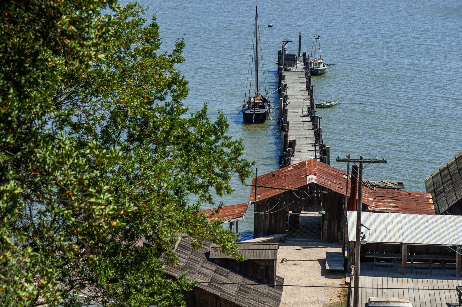 An old wooden pier and red-roofed shrimp camp buildings on the bay, seen from above through green trees