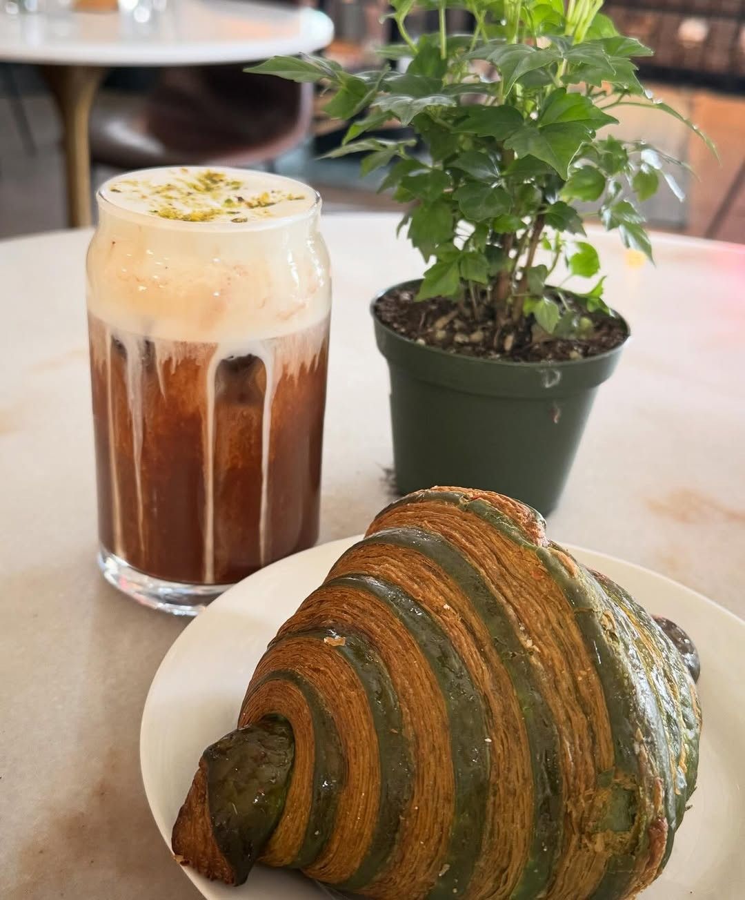 An iced coffee with foam beside a green-and-brown striped croissant on a plate, with a small plant behind.