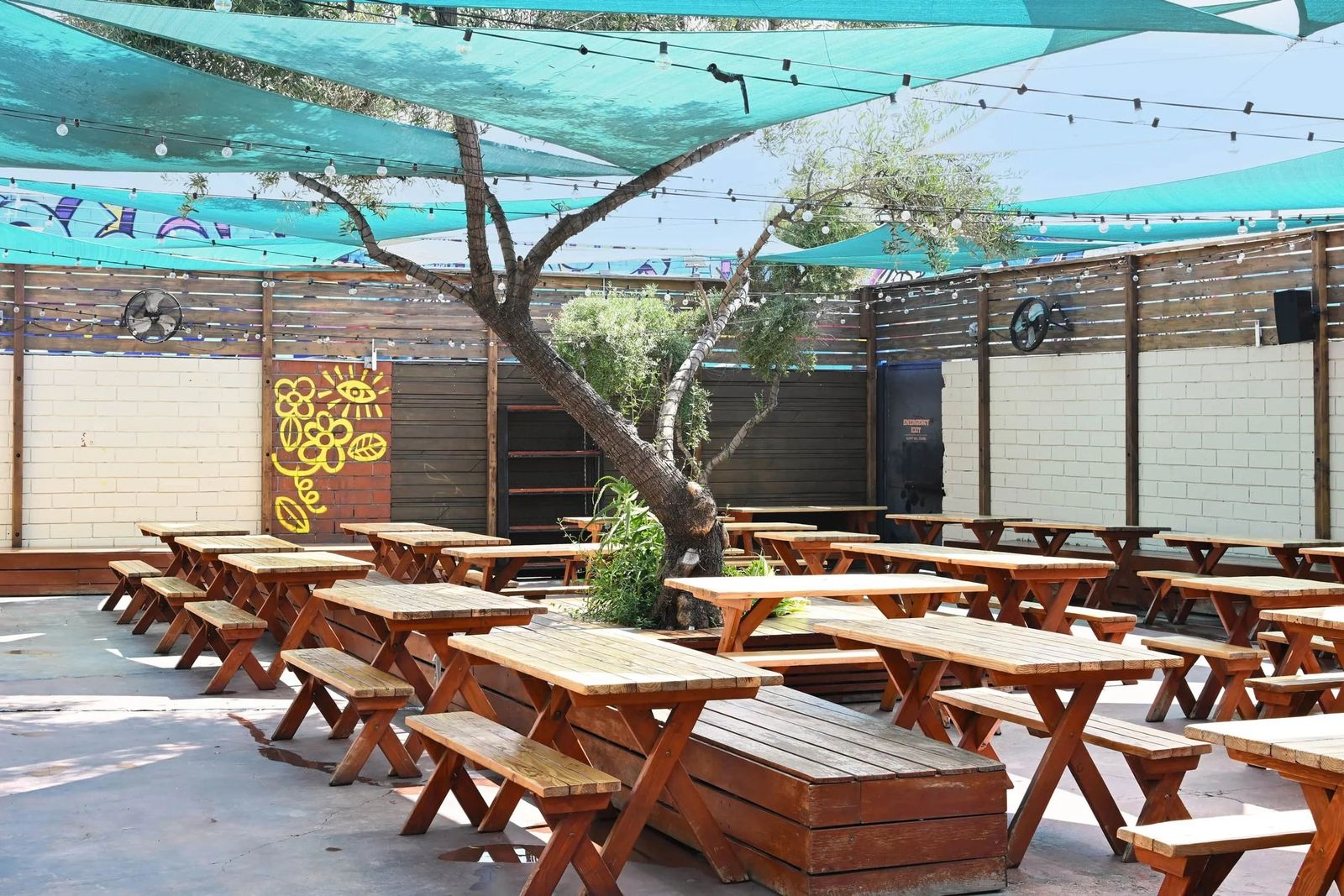 Outdoor patio with picnic tables under a teal shade canopy and a tree in the middle
