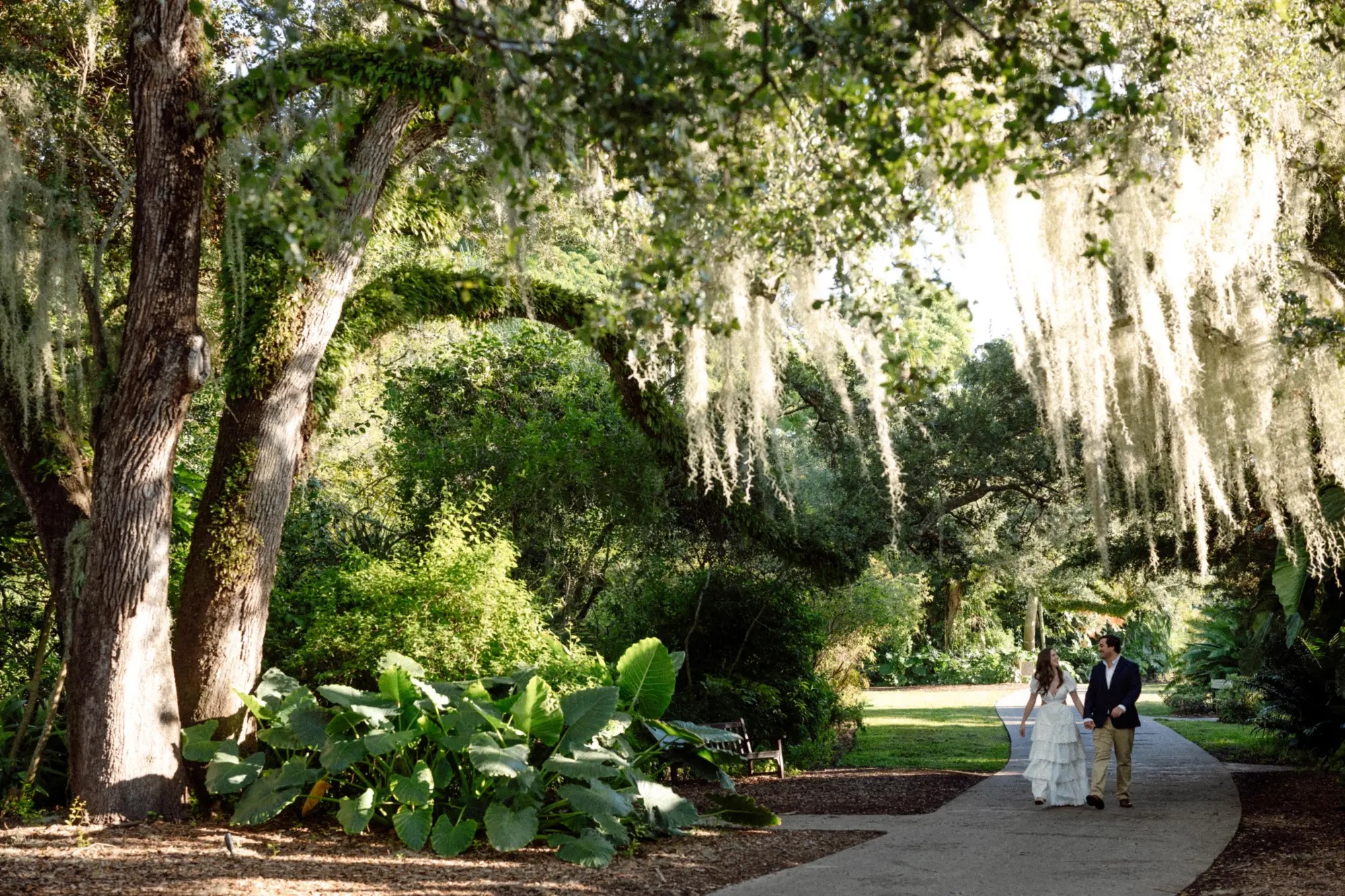 A couple holding hands on a paved garden path beneath live oaks draped in Spanish moss