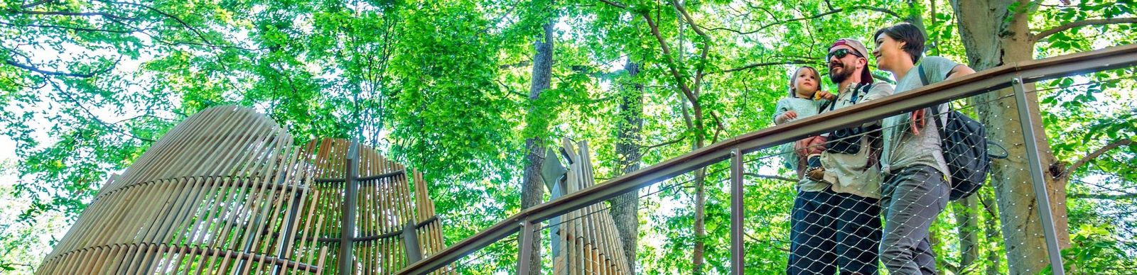 Visitors on an elevated treetop walkway among green tree canopy