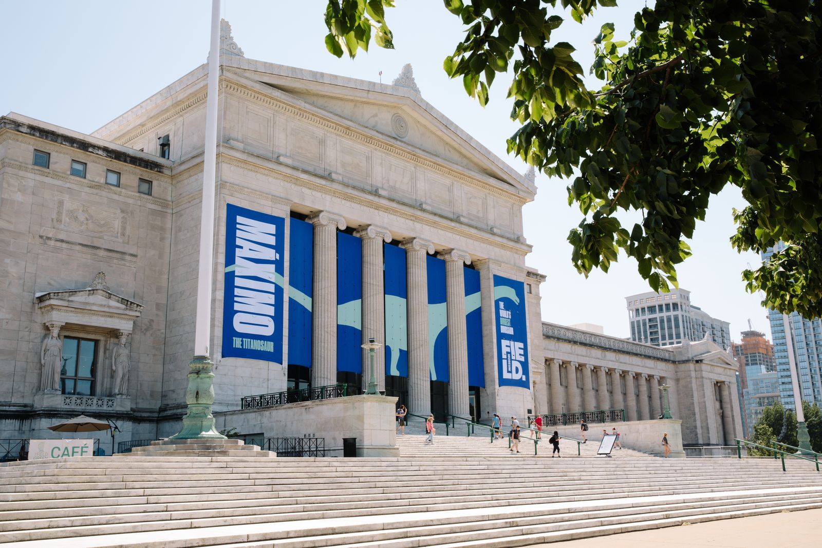 The museum's columned stone building with tall blue banners above a wide staircase and trees in front.