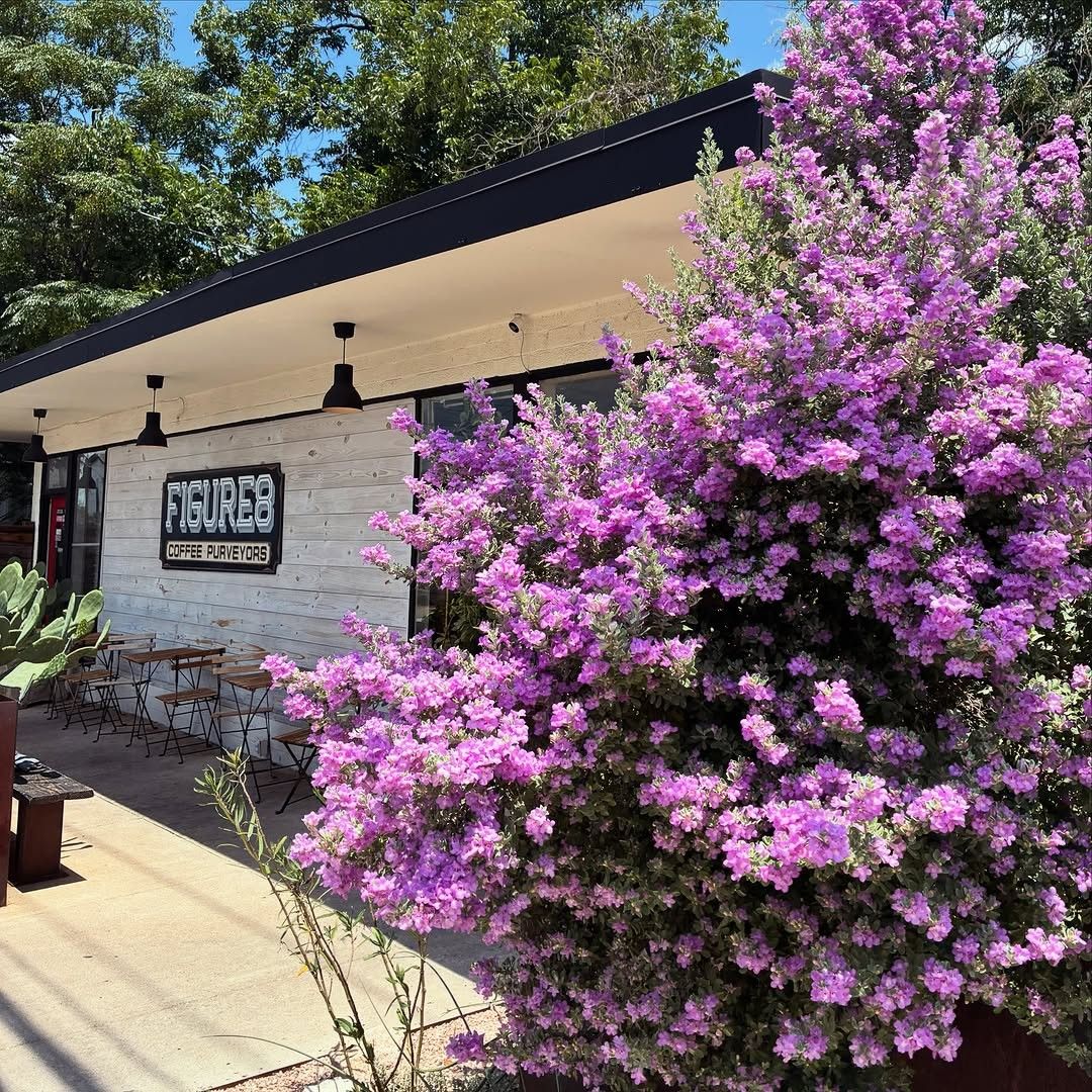 A low cafe building with a Figure 8 sign beside a blooming purple crepe myrtle, with outdoor seating.