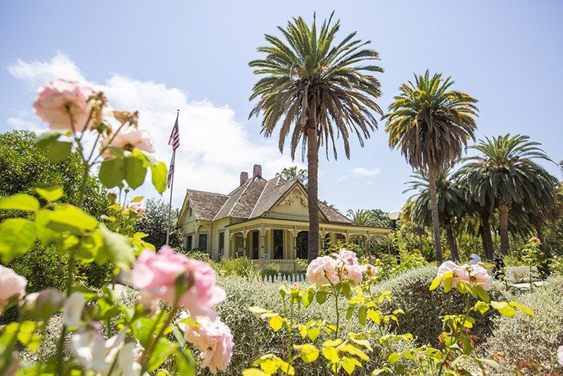 A historic house seen across rose bushes and palm trees under a blue sky.