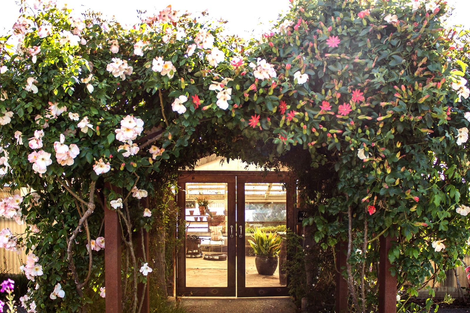 A tasting room entrance framed by an arch of climbing roses and flowering vines