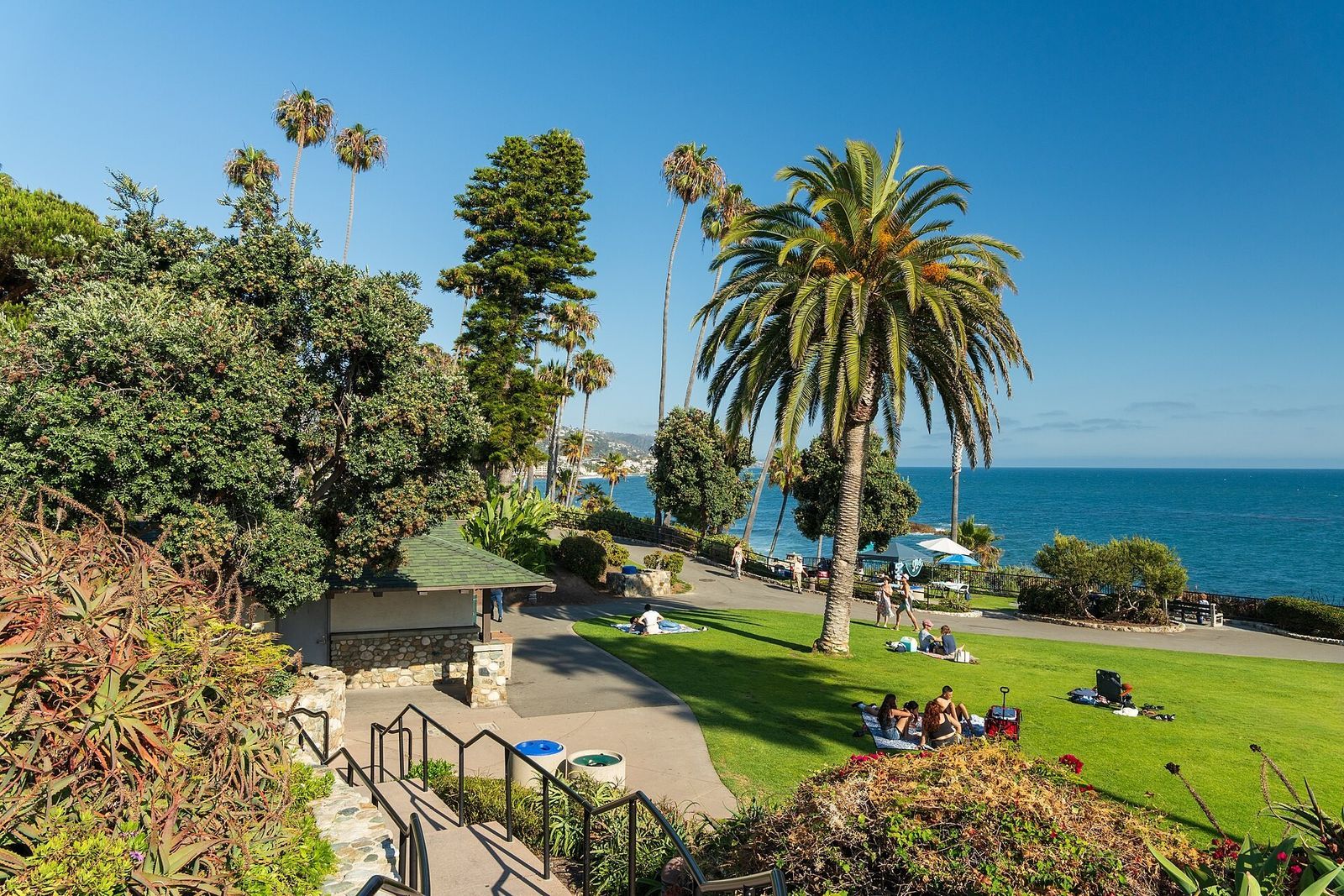 A grassy lawn with palm trees and picnickers above the ocean, with a stairway down the bluff.