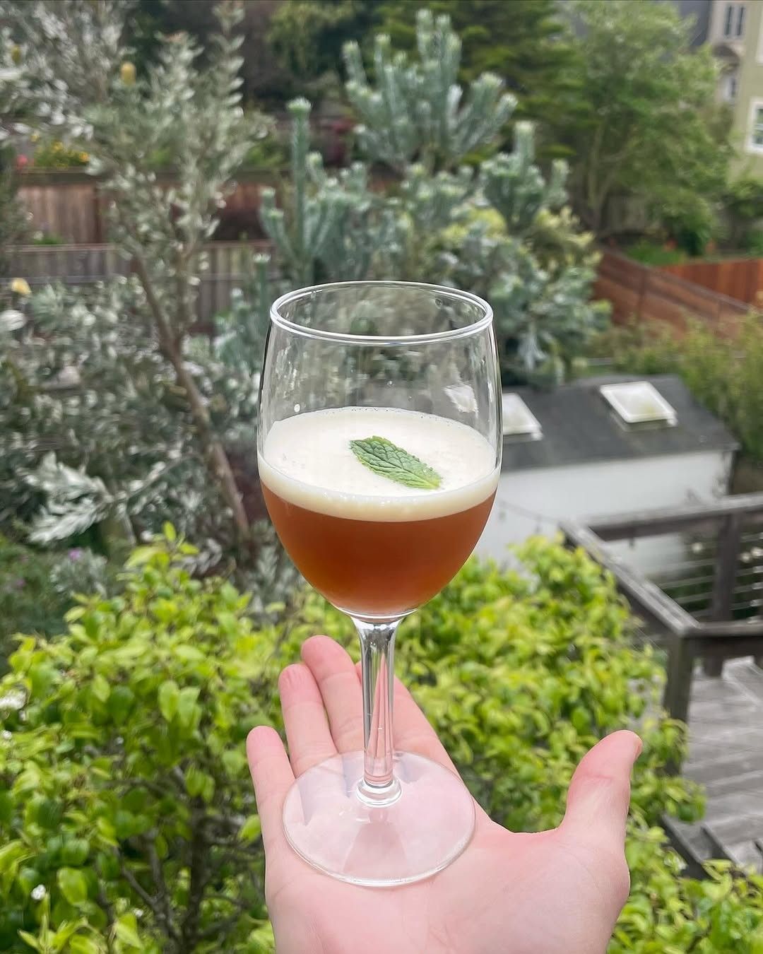 A hand holding a coupe glass with an amber drink and a mint leaf in front of a leafy garden.
