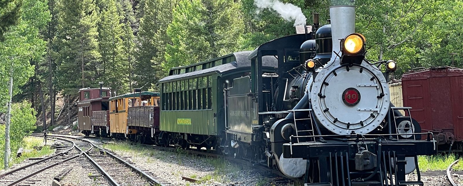A steam locomotive pulling a train of cars along a track through pine trees.