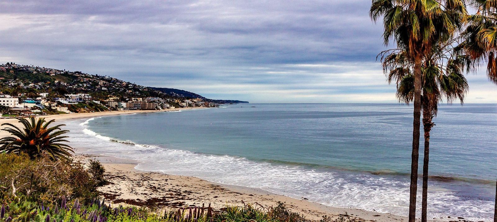 A curving stretch of coast with a beach, waves and palm trees, seen from a bluff.