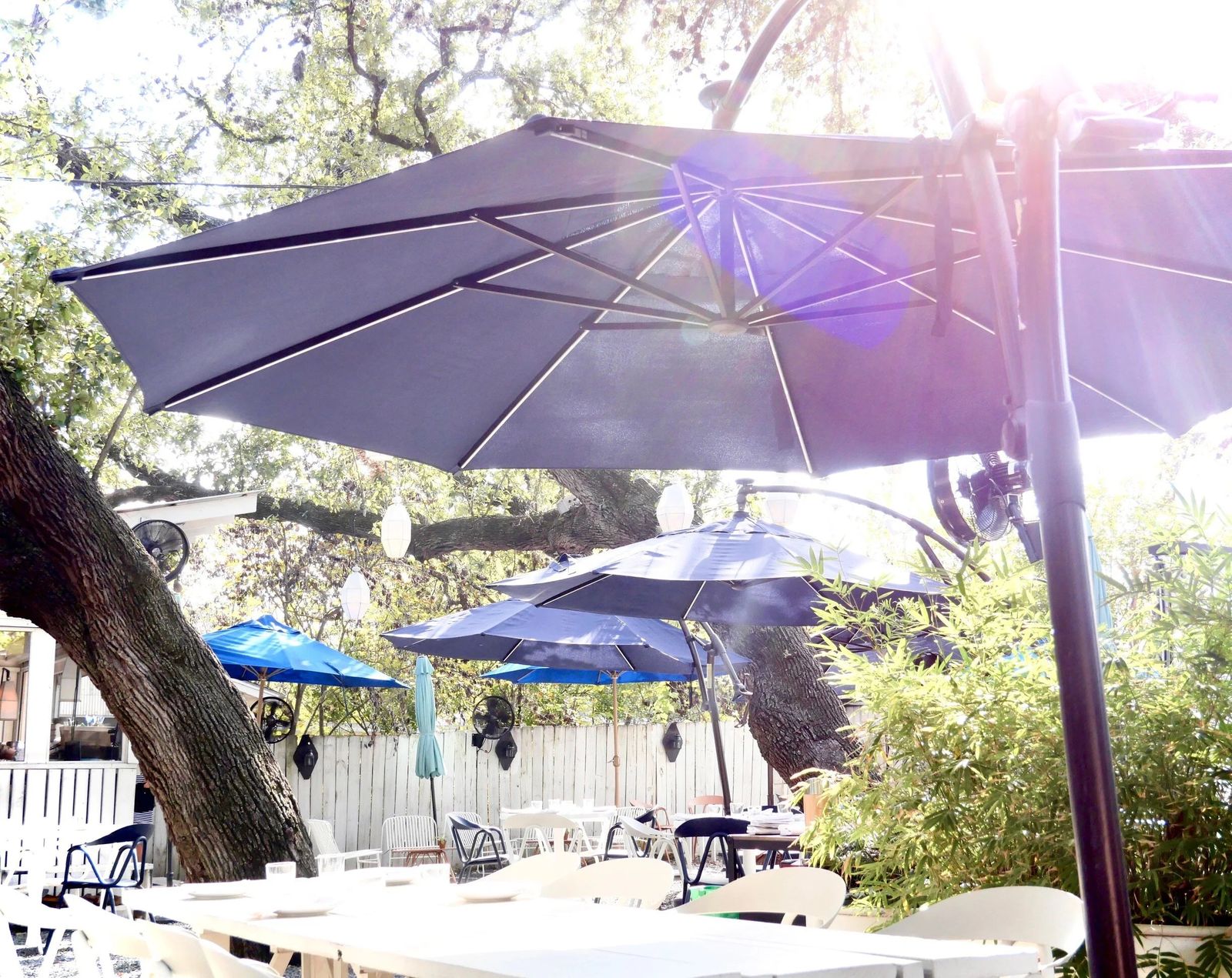 A garden patio with large blue umbrellas, white tables and chairs under live oak trees.