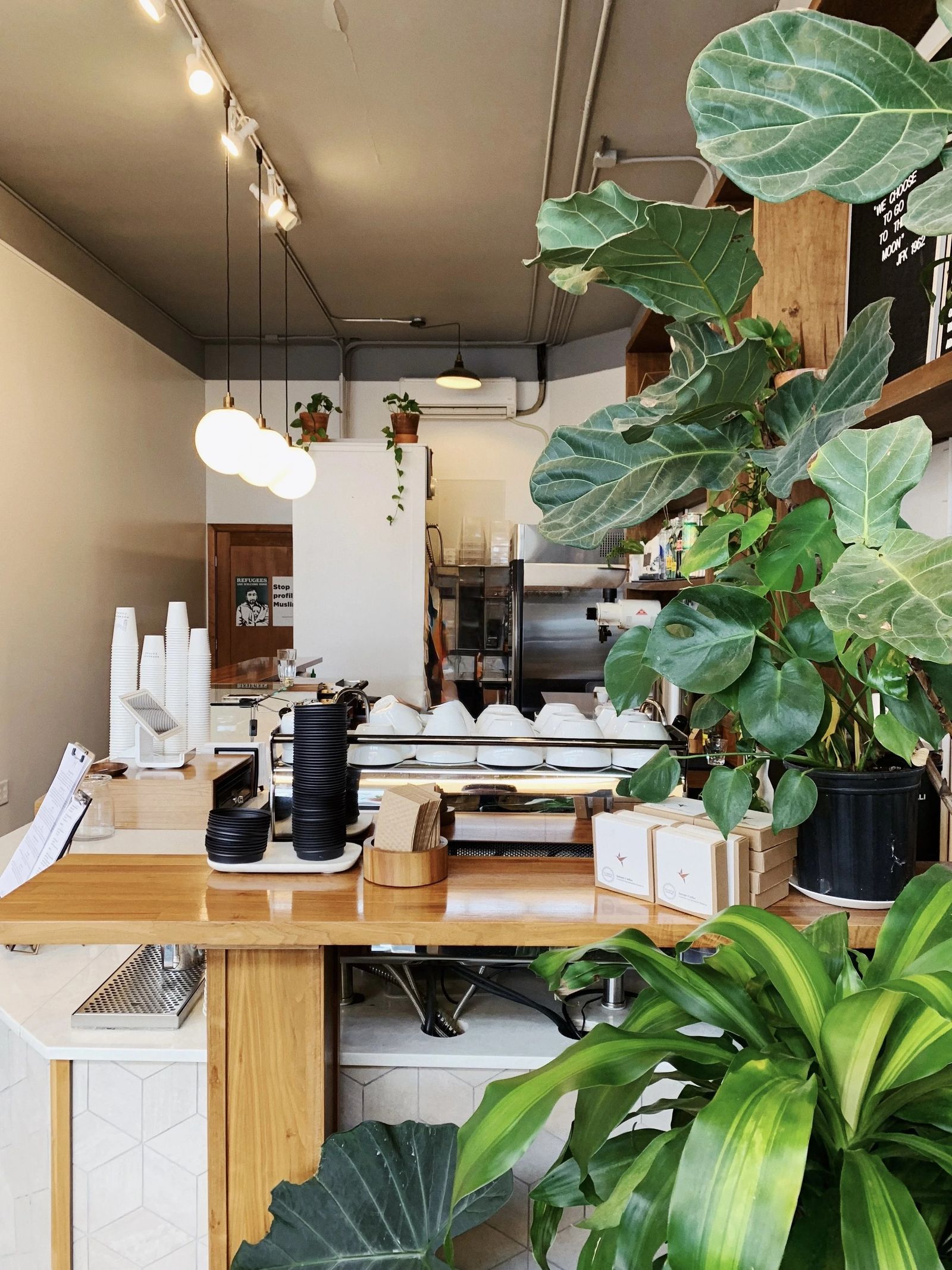 A small coffee counter with an espresso machine and hanging lights, surrounded by large leafy plants.