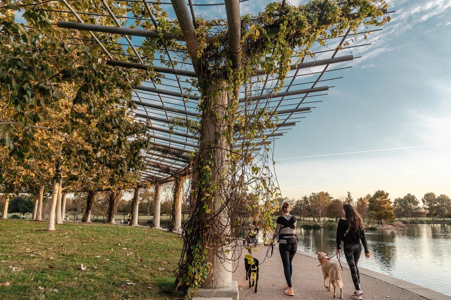 Two people walking dogs along the edge of a lake beneath a wooden pergola, with trees in autumn color and a bright sky.