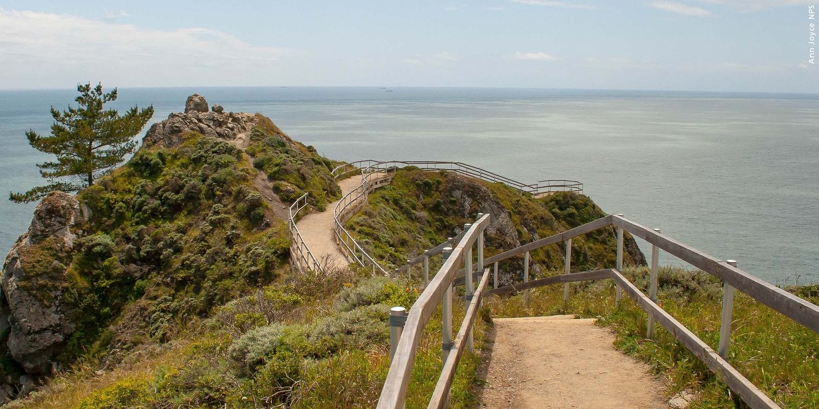 A dirt path with wooden railing leading along a grassy bluff above the ocean