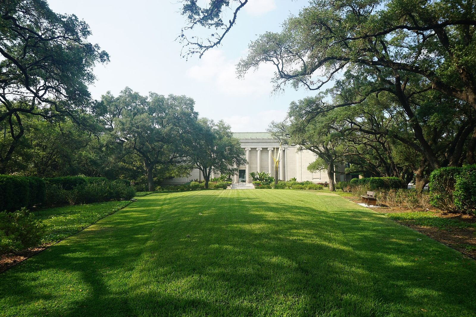 A wide lawn lined with live oak trees leading to a columned museum building