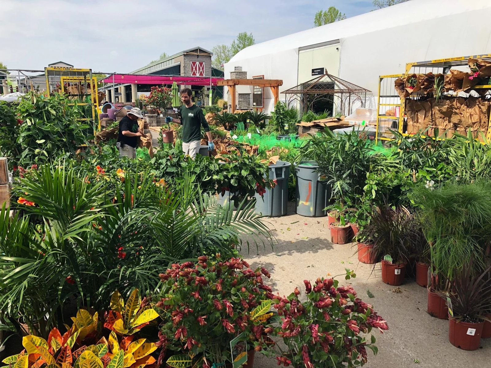 Outdoor plant stalls with tropical plants and covered market sheds