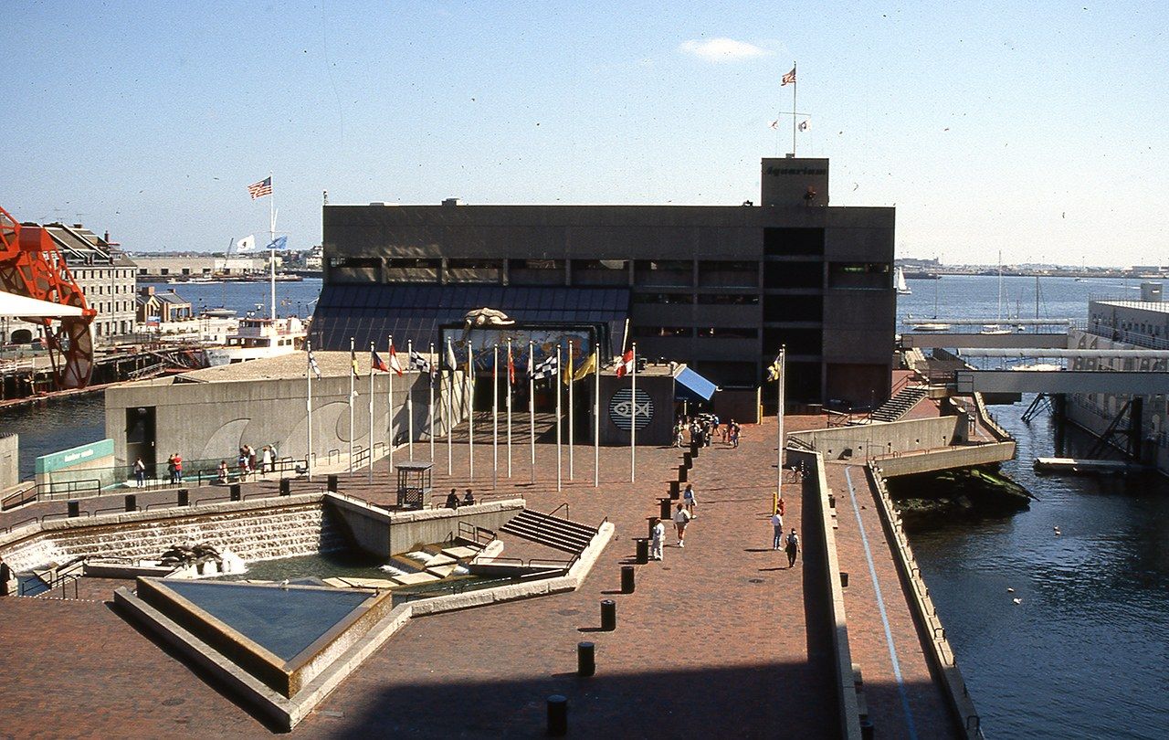 The aquarium building and its harborfront plaza and walkway seen from above