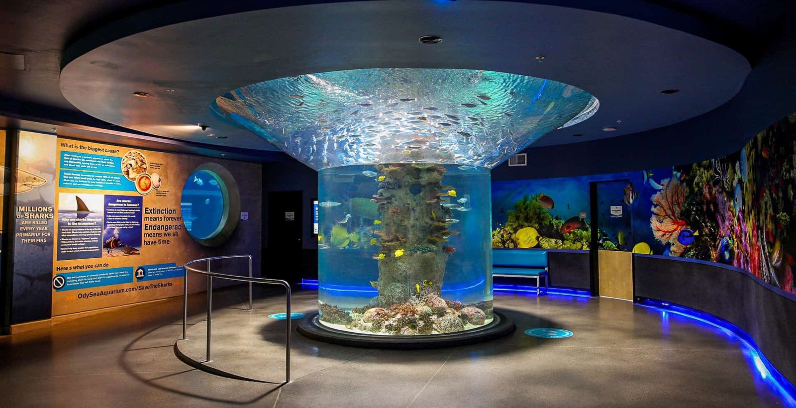 A circular aquarium tank in a blue-lit exhibit hall with display panels