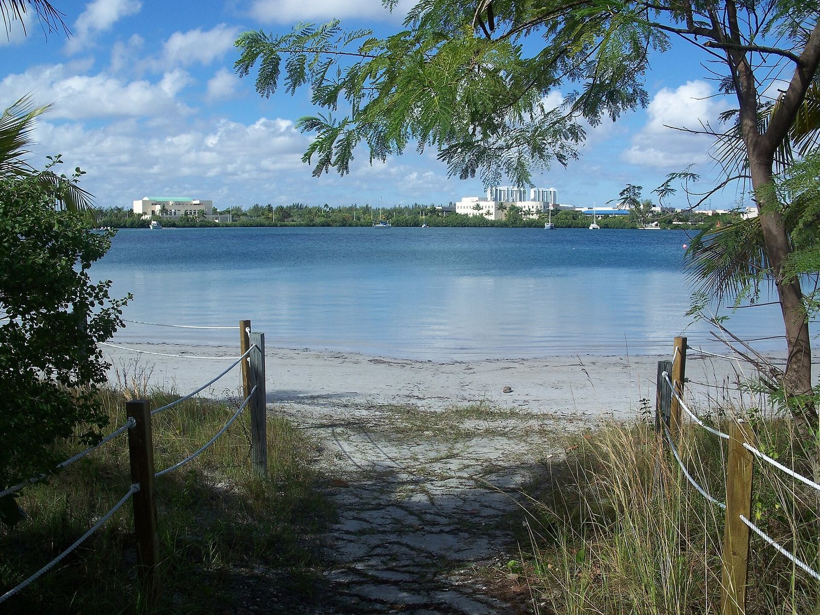 Sandy shoreline path leading to calm water with trees along the bank