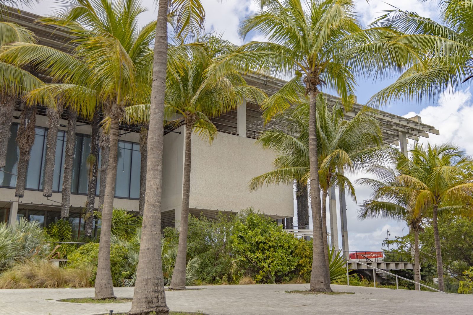 Museum building with a canopy roof seen through tall palm trees