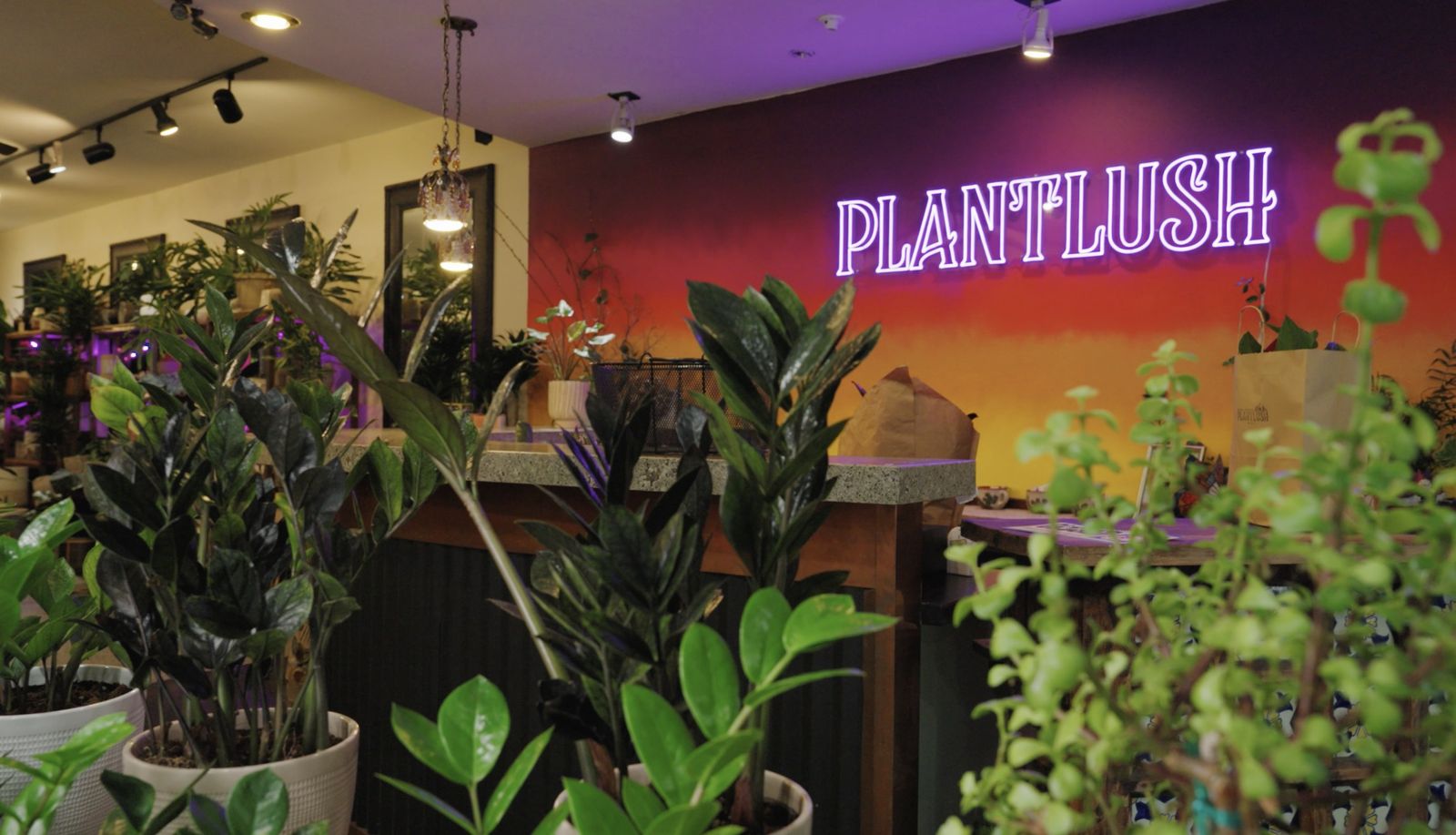 Plant shop interior with a neon Plantlush sign above a counter surrounded by leafy plants