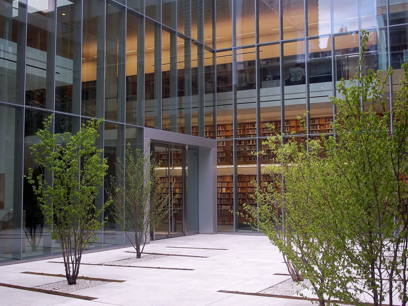 A courtyard with young trees in front of a glass building facade, with a library visible inside.