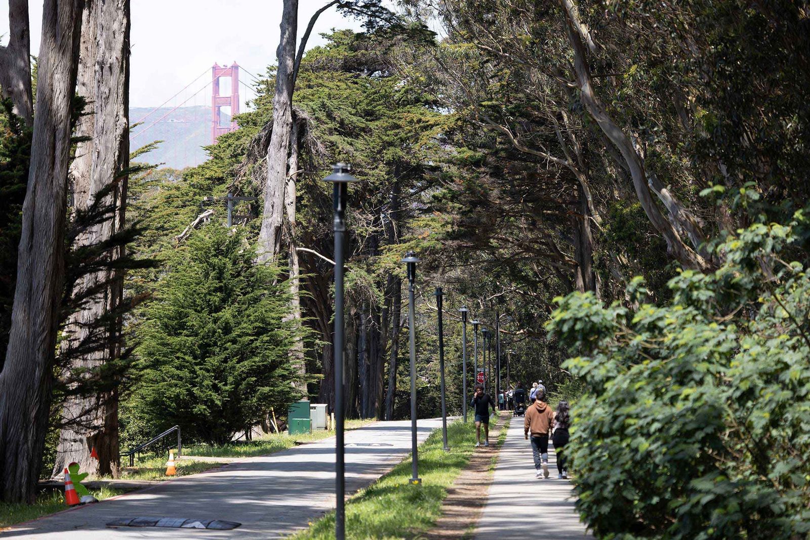 A paved path lined with tall cypress and eucalyptus trees, with walkers and the bridge faintly behind.