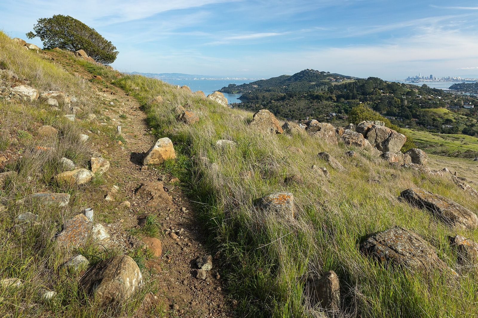 Grassy rocky hillside trail with the Tiburon Peninsula and bay in the distance
