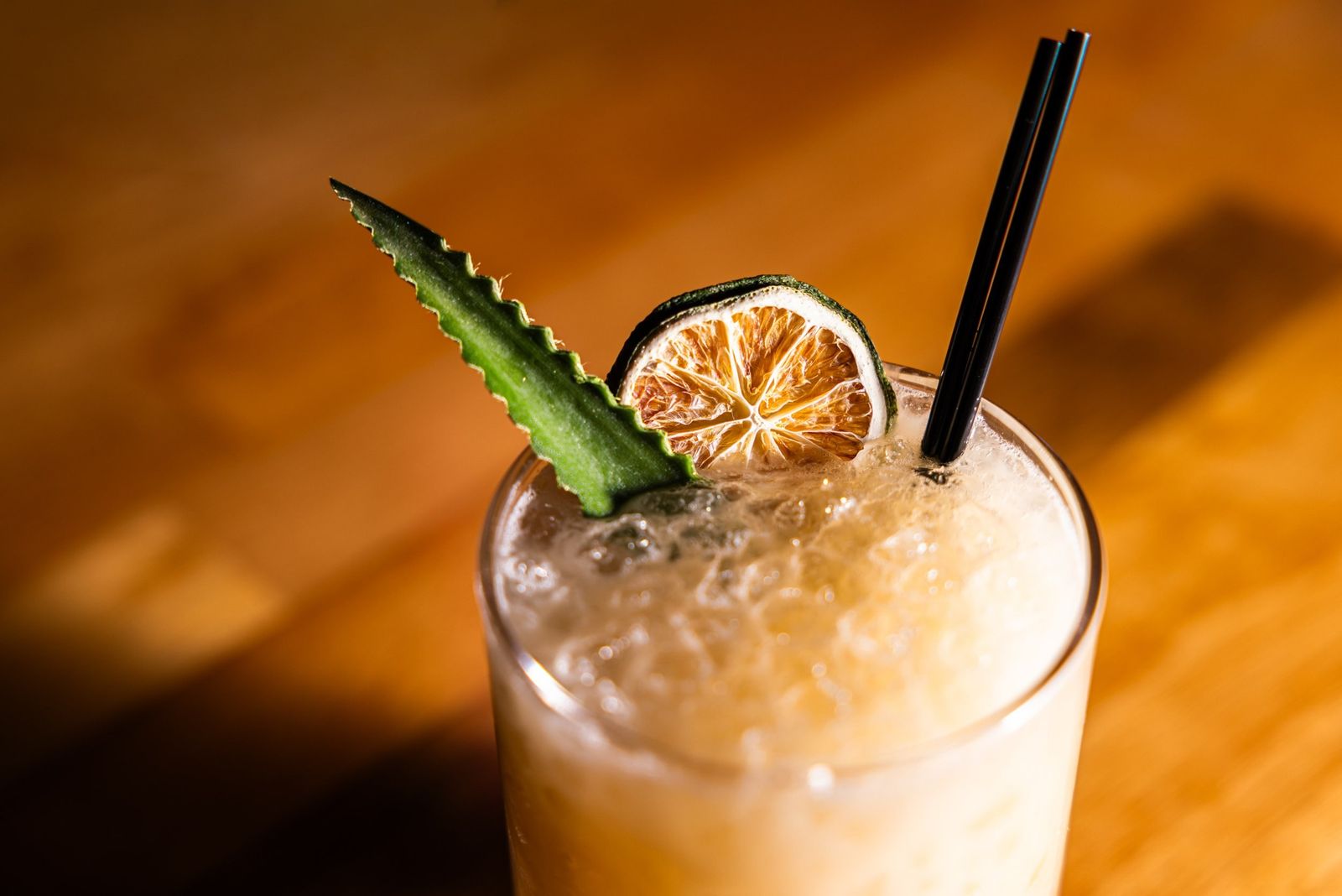 A cocktail with a dried citrus wheel and agave leaf garnish on a wooden bar top