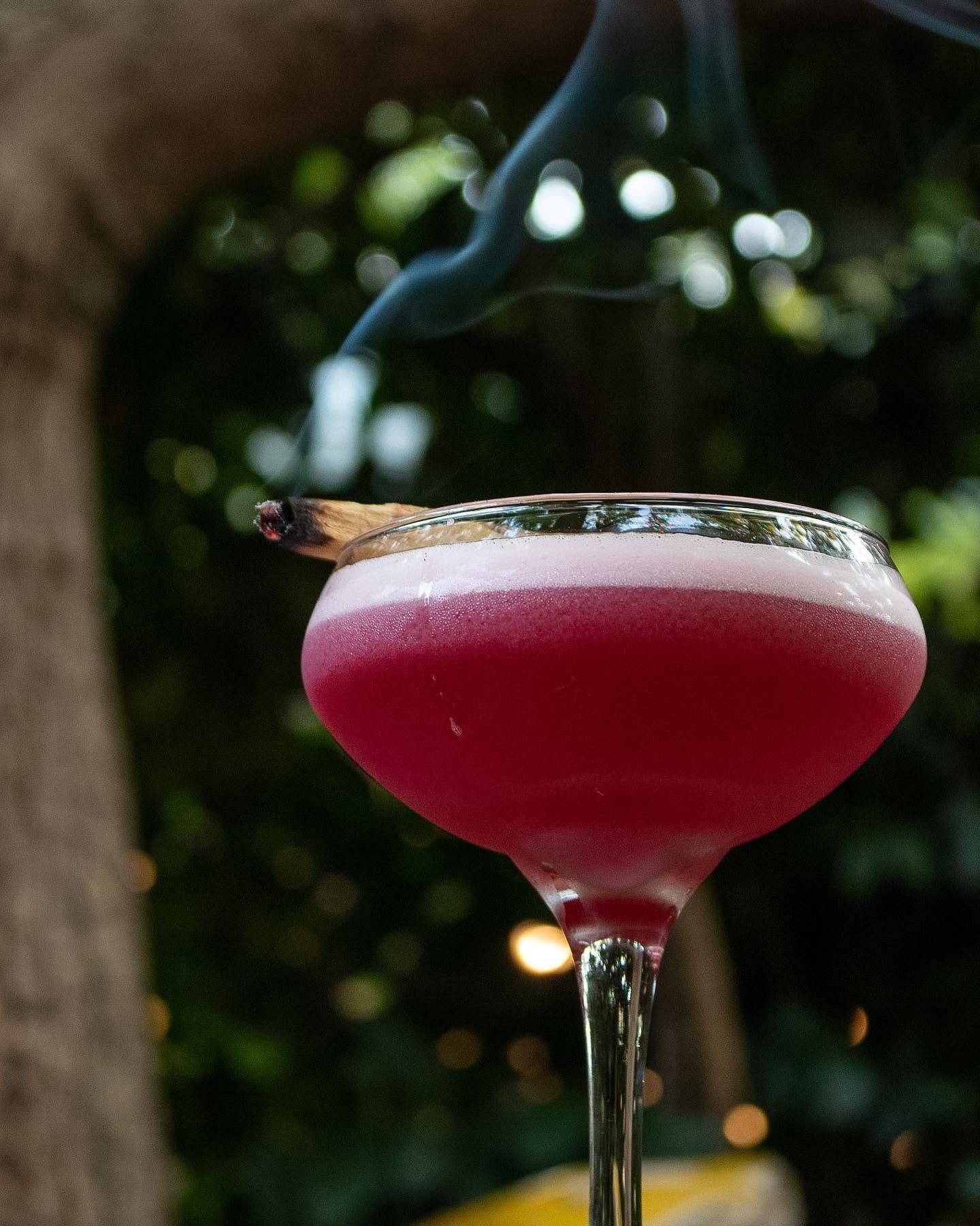 A magenta cocktail in a coupe glass with smoke curling off it, in front of a tree trunk and string lights.