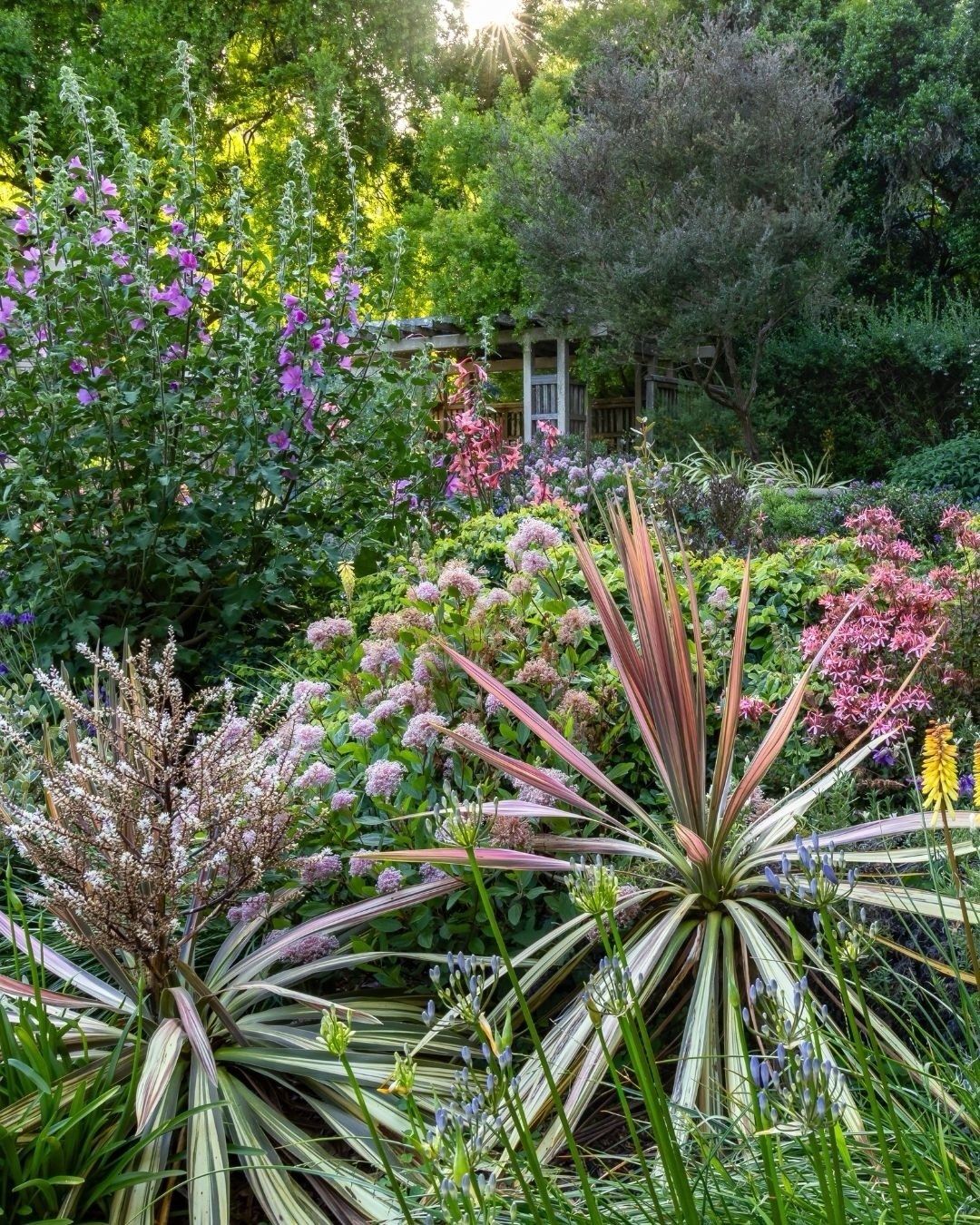 A garden bed of flowering purple and pink plants and spiky foliage under tall trees.