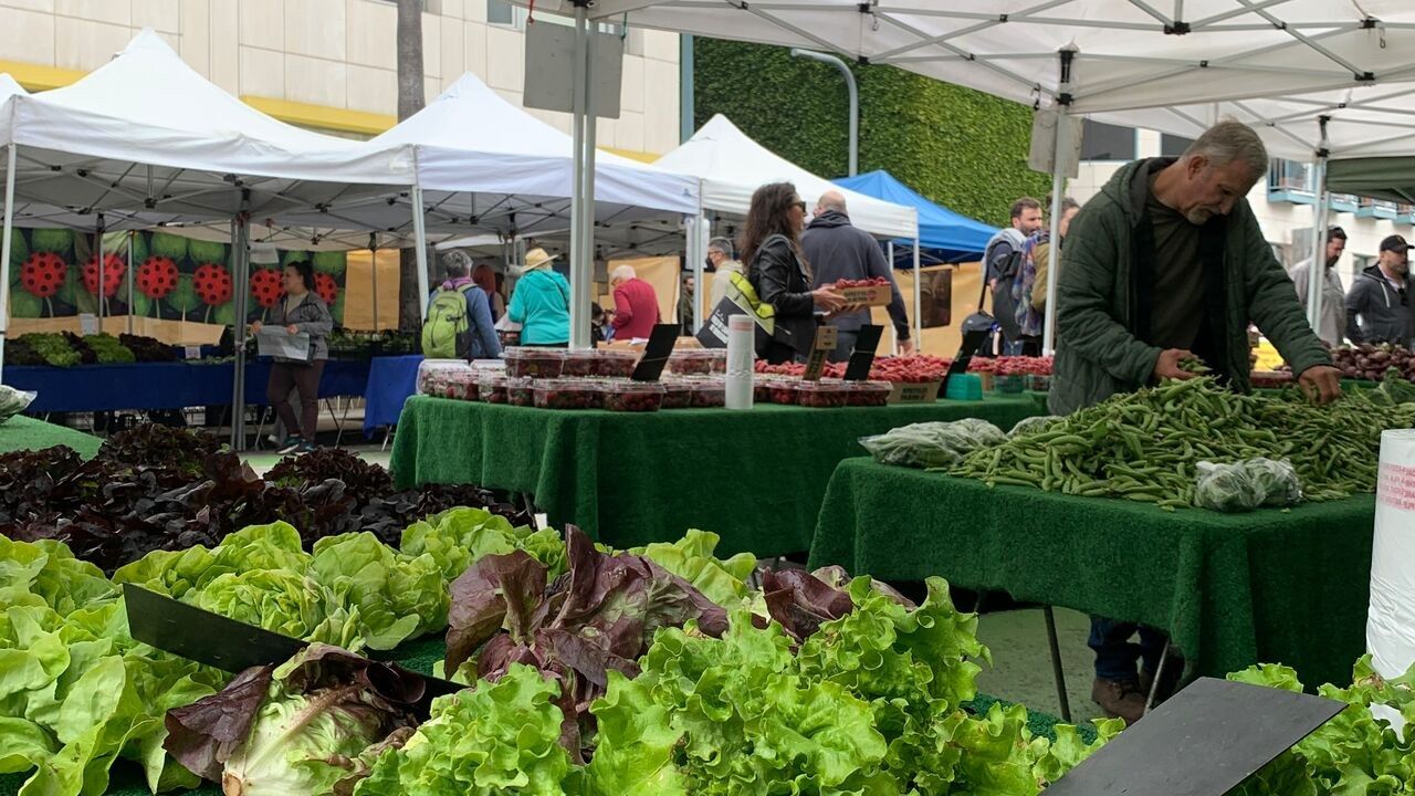 Farmers market stalls under white canopies with piles of fresh greens in front