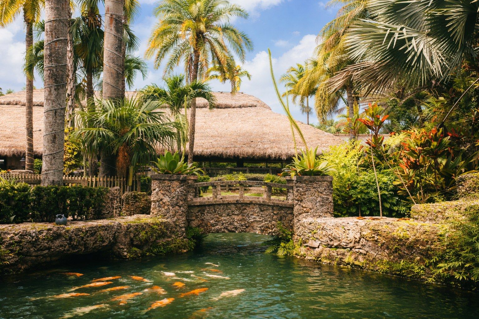 A koi pond with orange fish beside a stone wall, palm trees and thatched-roof huts