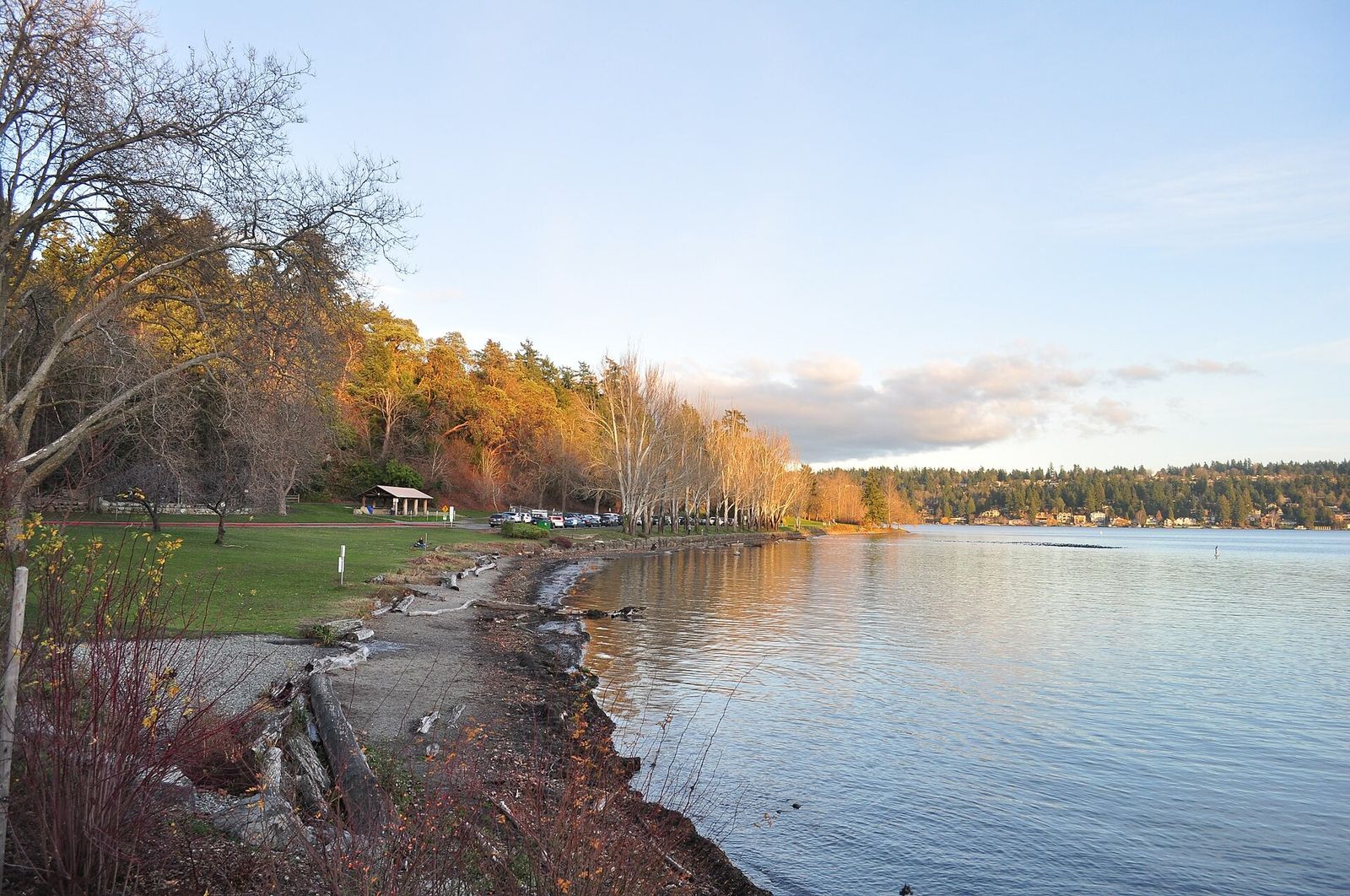 A curving shoreline with autumn trees and calm water under a pale sky.