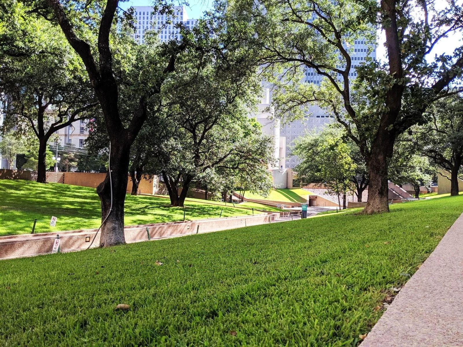 Lawn and live oak trees along a sidewalk with downtown buildings in the distance