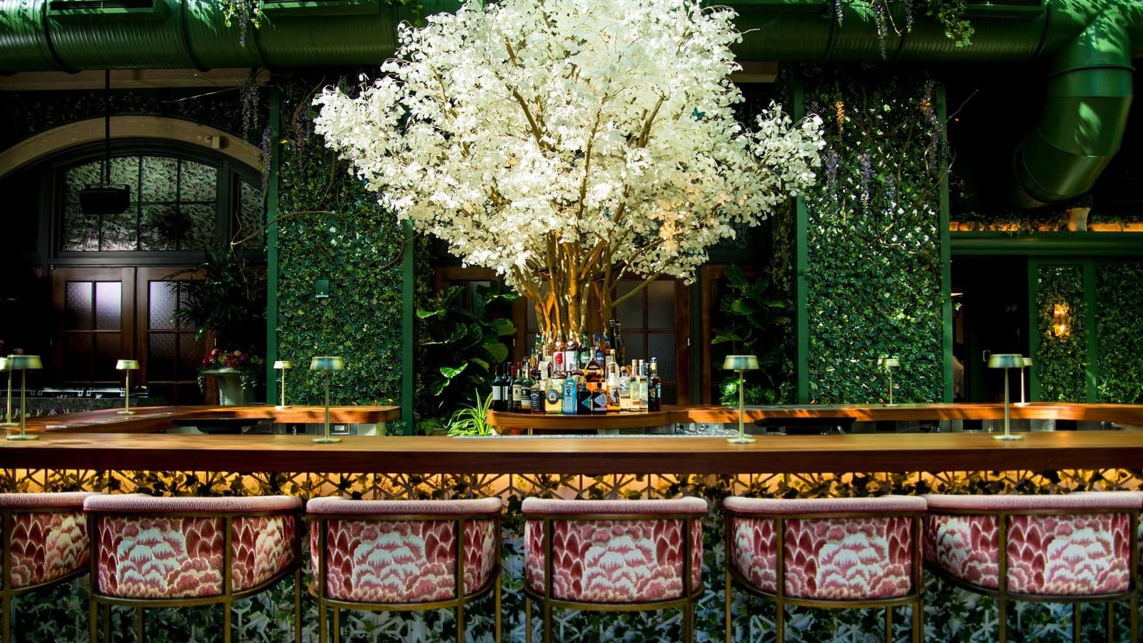 Bar with a tree of white blossoms above it, surrounded by green foliage