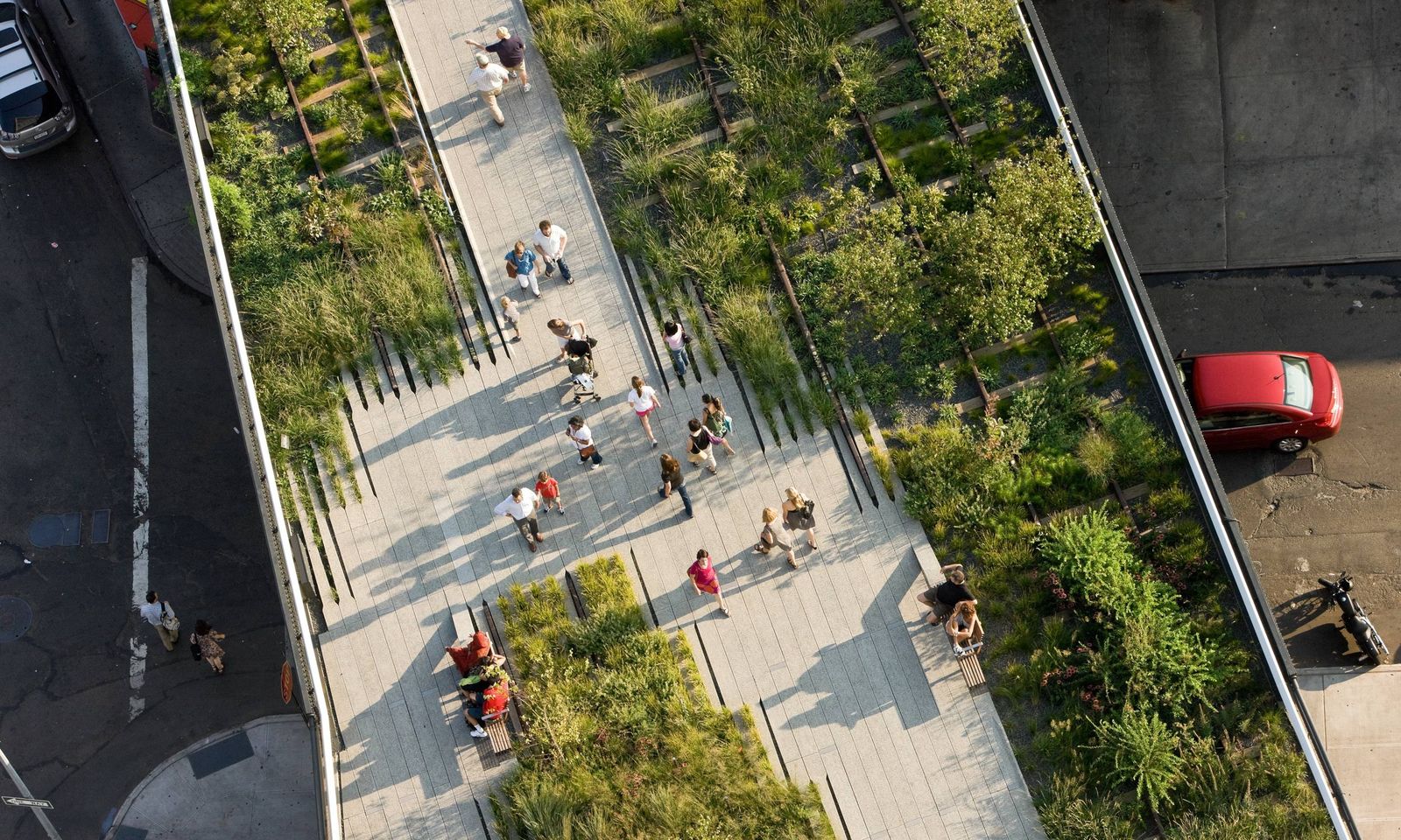 Aerial view of the High Line walkway running between planted beds and buildings