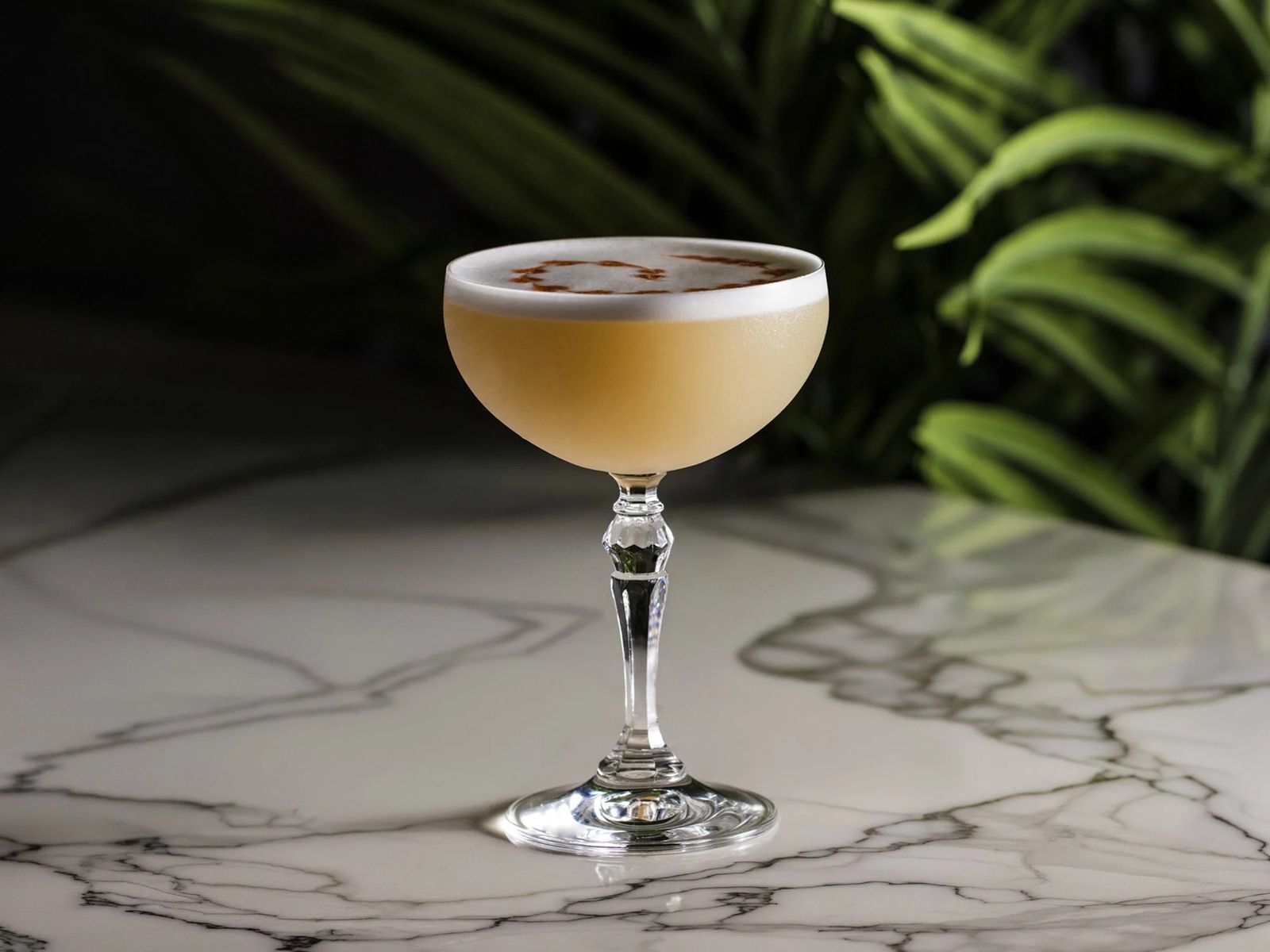 A coupe cocktail with a frothy top on a marble table in front of palm leaves.