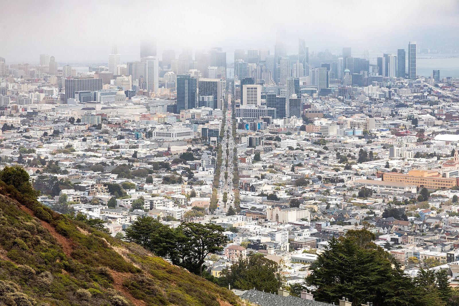 A hillside overlooking downtown San Francisco's streets and towers, with fog above the skyline.