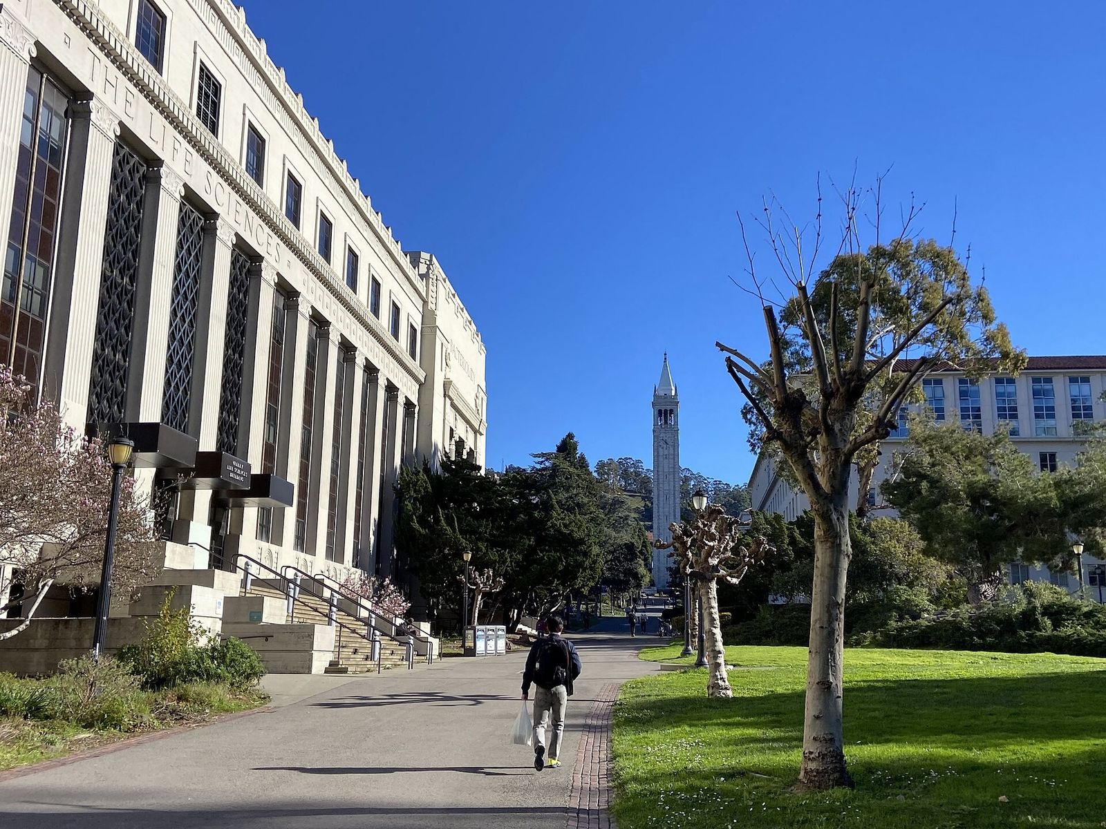 A stone campus building beside a lawn and path, with the Campanile tower in the distance under a blue sky.