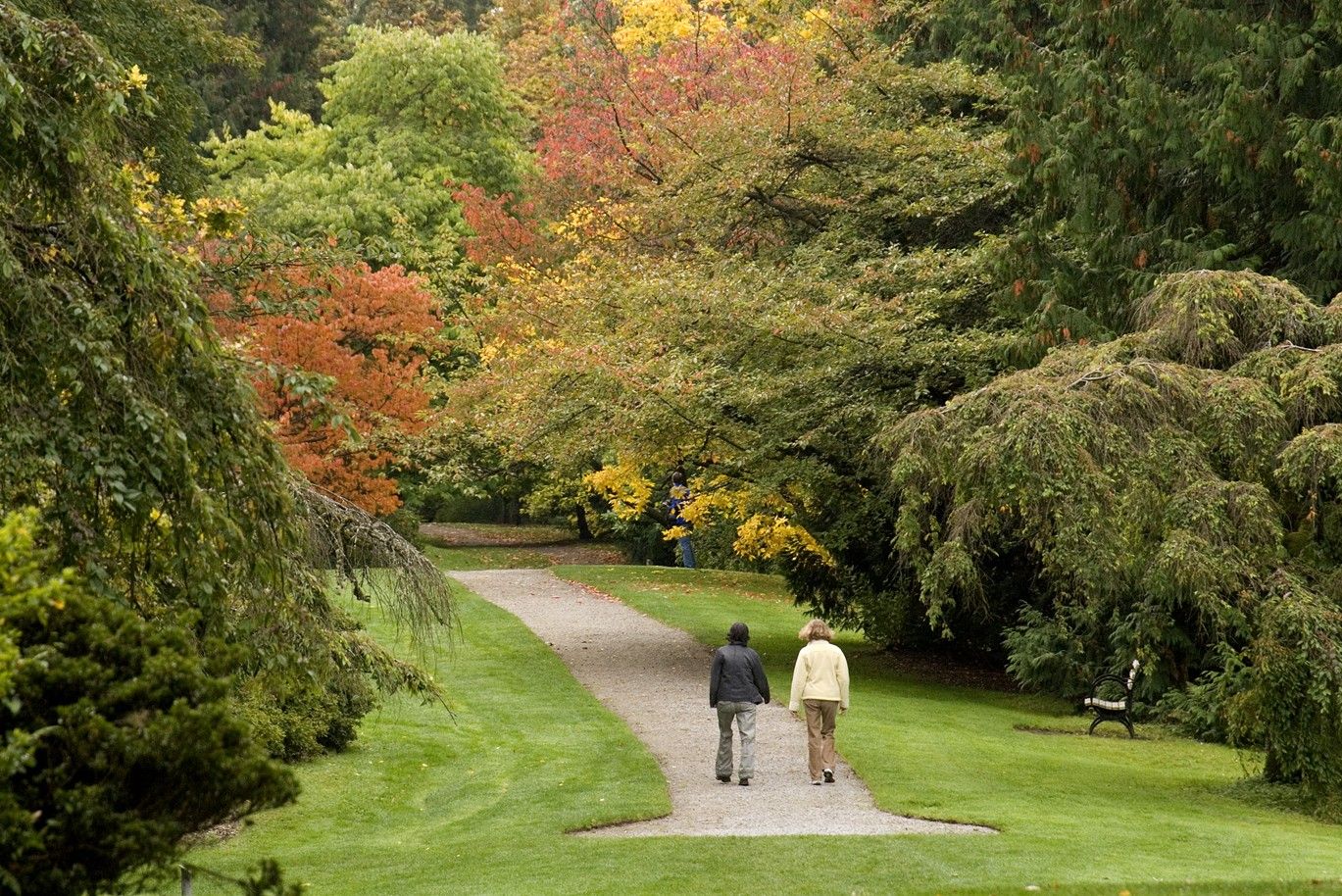 Two people walking along a grass path through trees with autumn foliage.