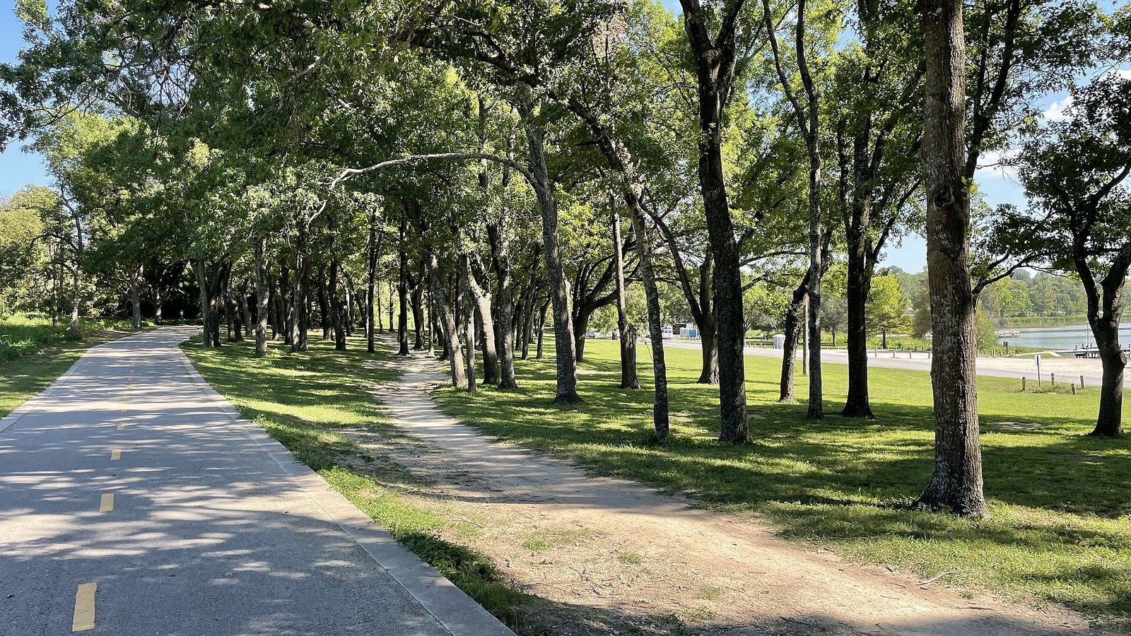 A paved path and a dirt trail running side by side under tall oak trees beside the lake.